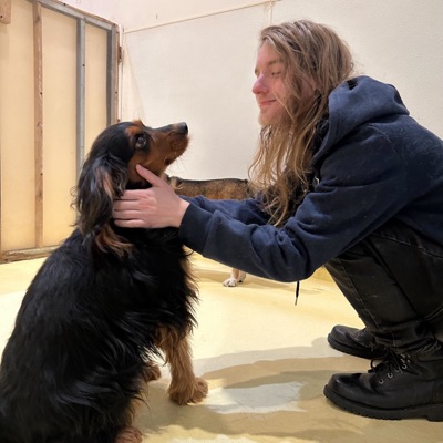 A carer crouched on the playroom floor, a hand on a black-and-tan dog’s face, the two looking at each other.