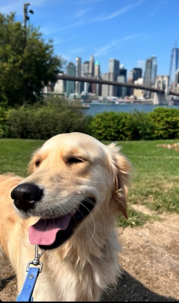 Geller, Kirsten C.’s dog